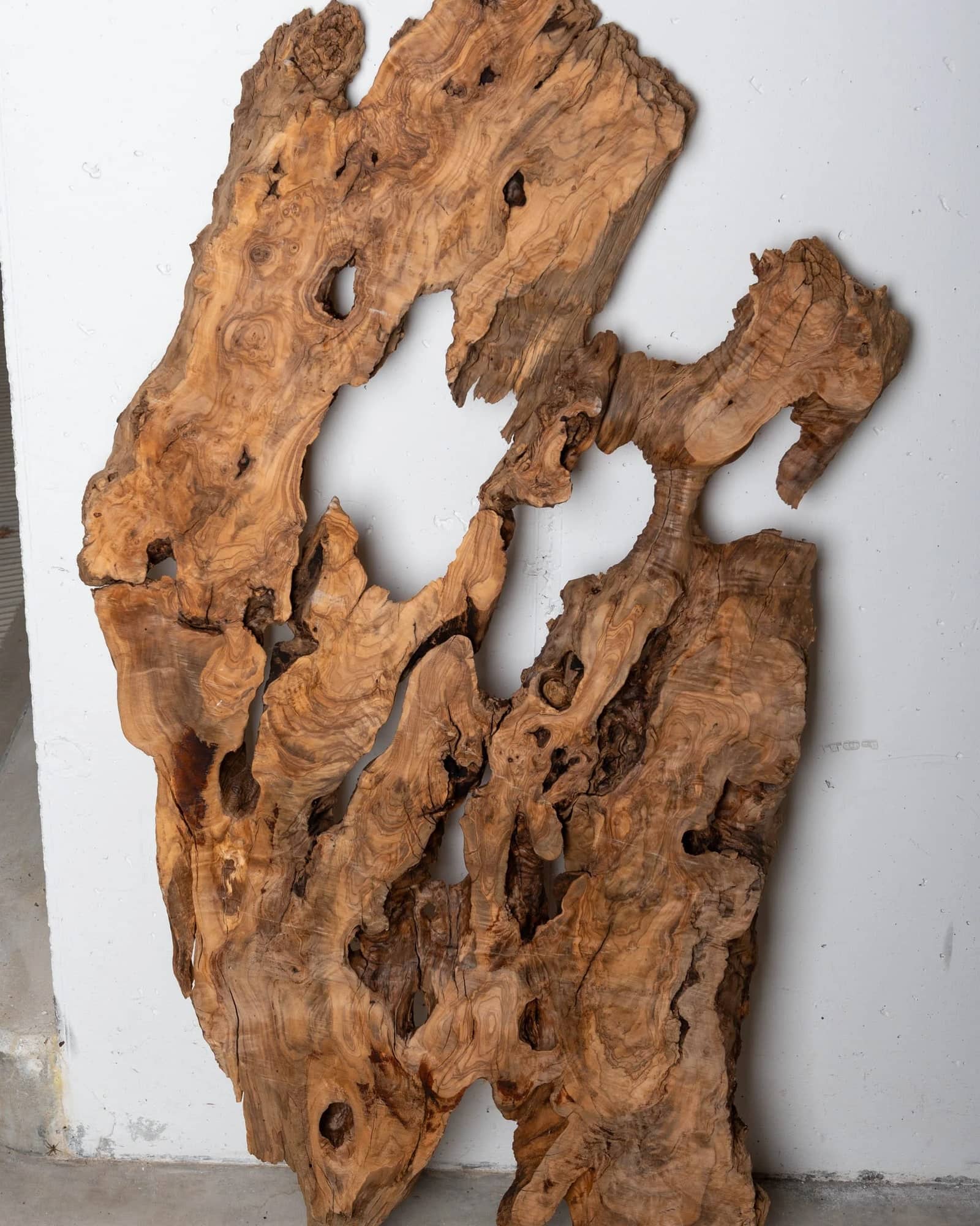Mehrere grosse, unregelmässig geformte Holzstücke mit natürlichen Knoten und Maserungen, die an einer weissen Wand stehen.